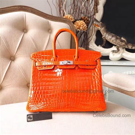 hermes birkin 25 preis|hermes birkin 25 for sale.